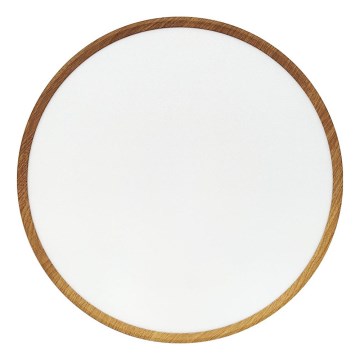 LED Stropní svítidlo LED/40W/230V 3000/4000/6500K pr. 50 cm béžová